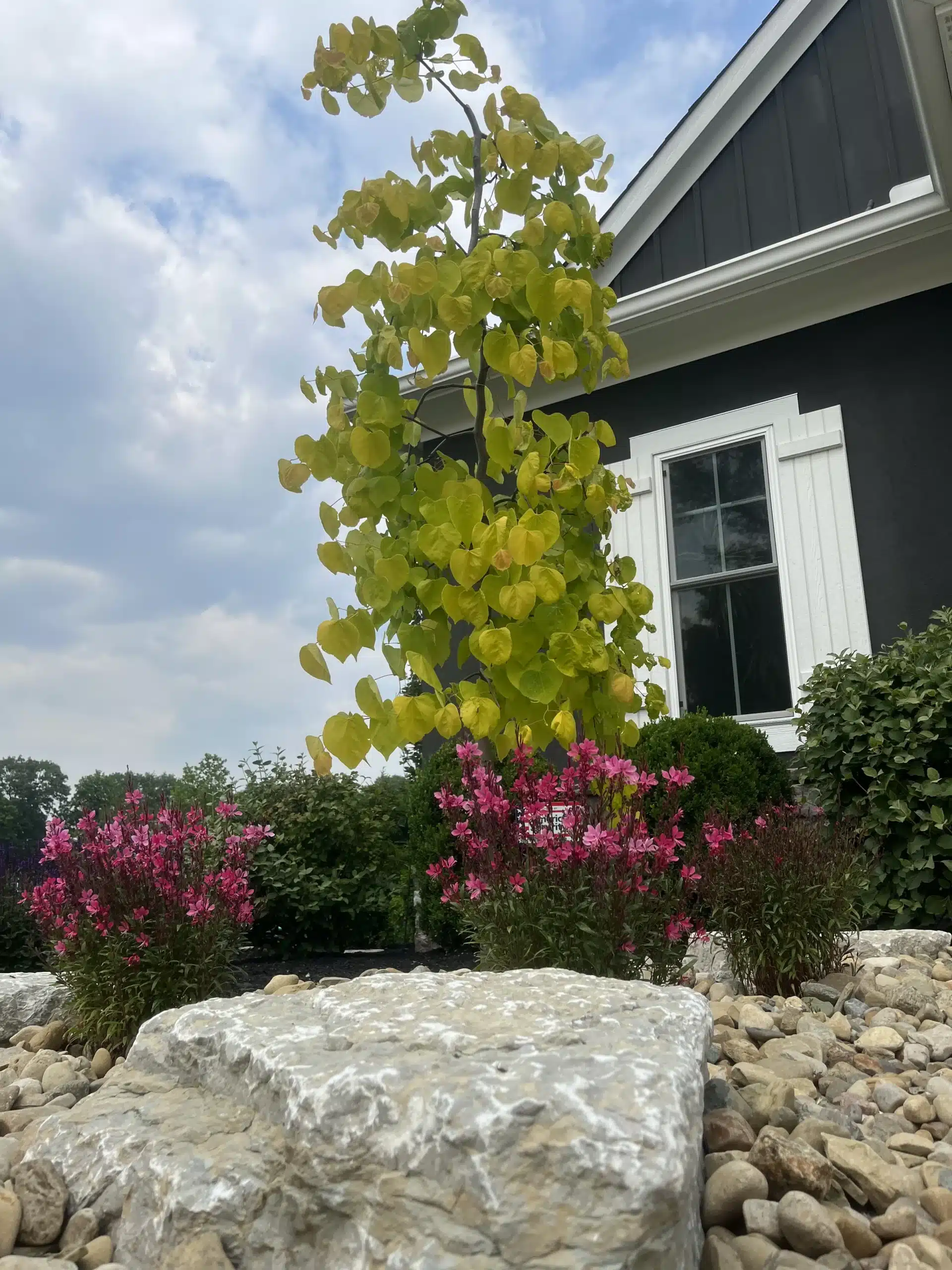 Lintz Land Design Landscape Photo